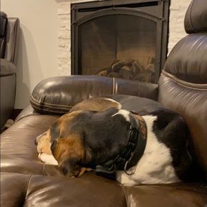 Meet your Posher, Keri